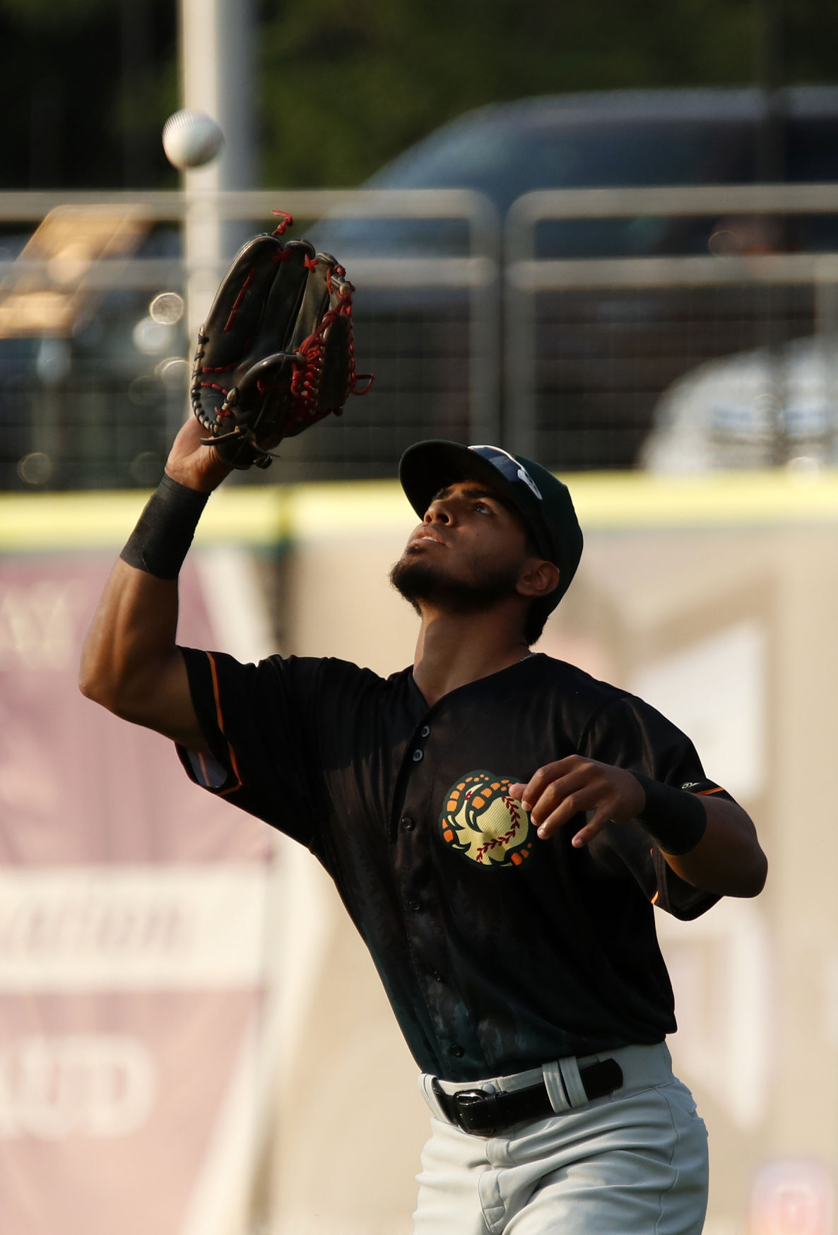 Mustangs v Boise Hawks